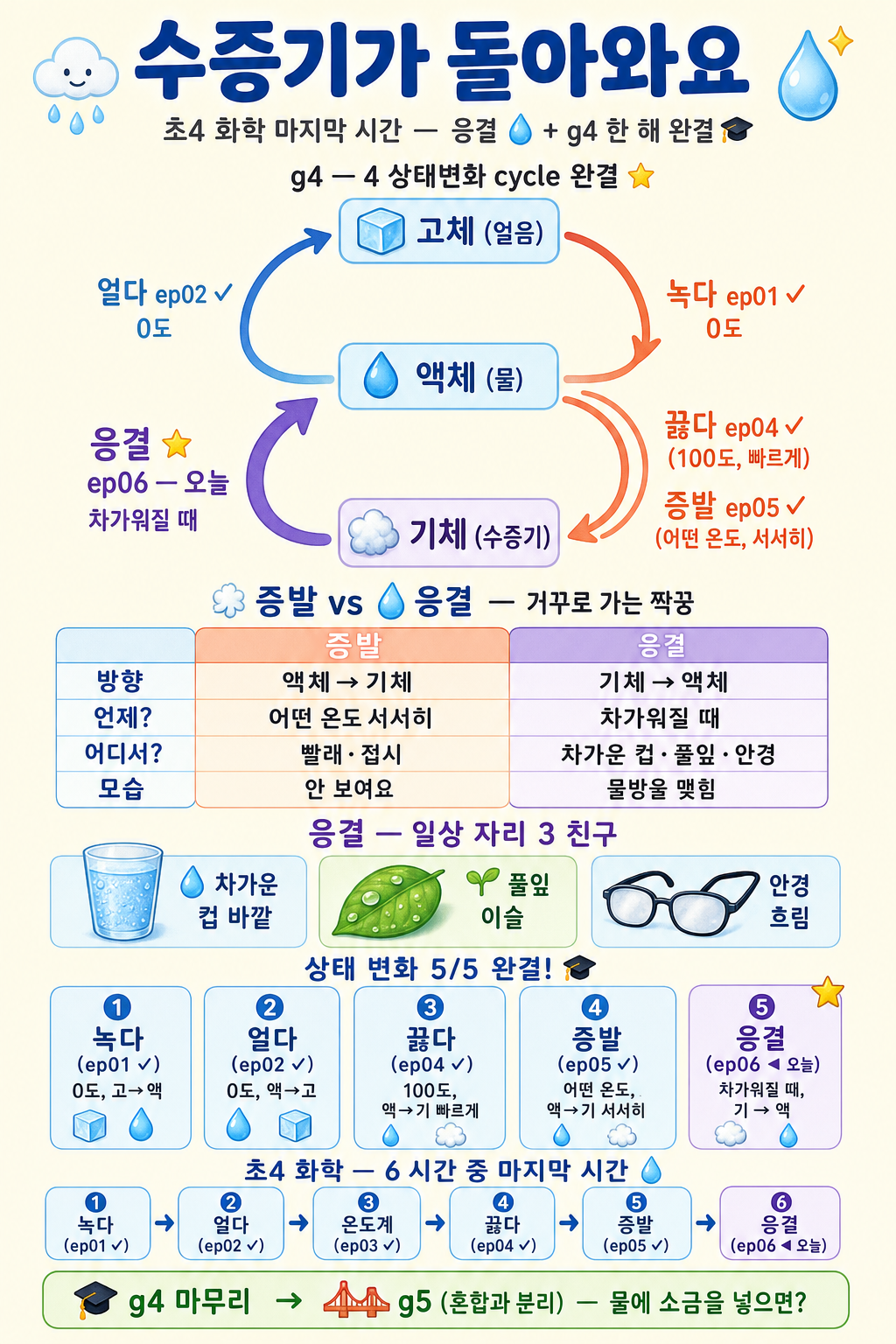 고체·액체·기체를 잇는 녹·얼·끓·증·응 5동사 cycle과 증발↔응결 짝꿍을 정리한 한국어 인포그래픽