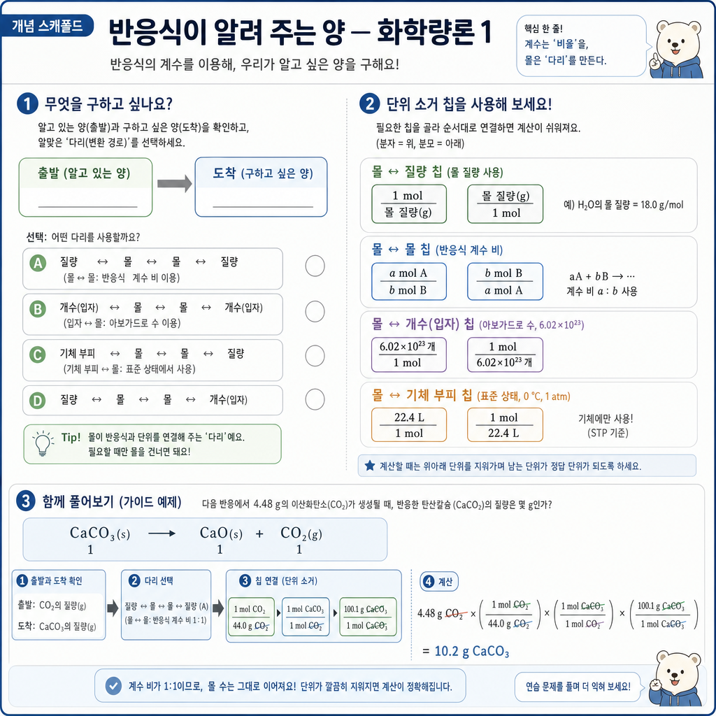 계수비를 거쳐 g→mol→mol→g로 양을 구하는 화학량론 경로 선택 개념도