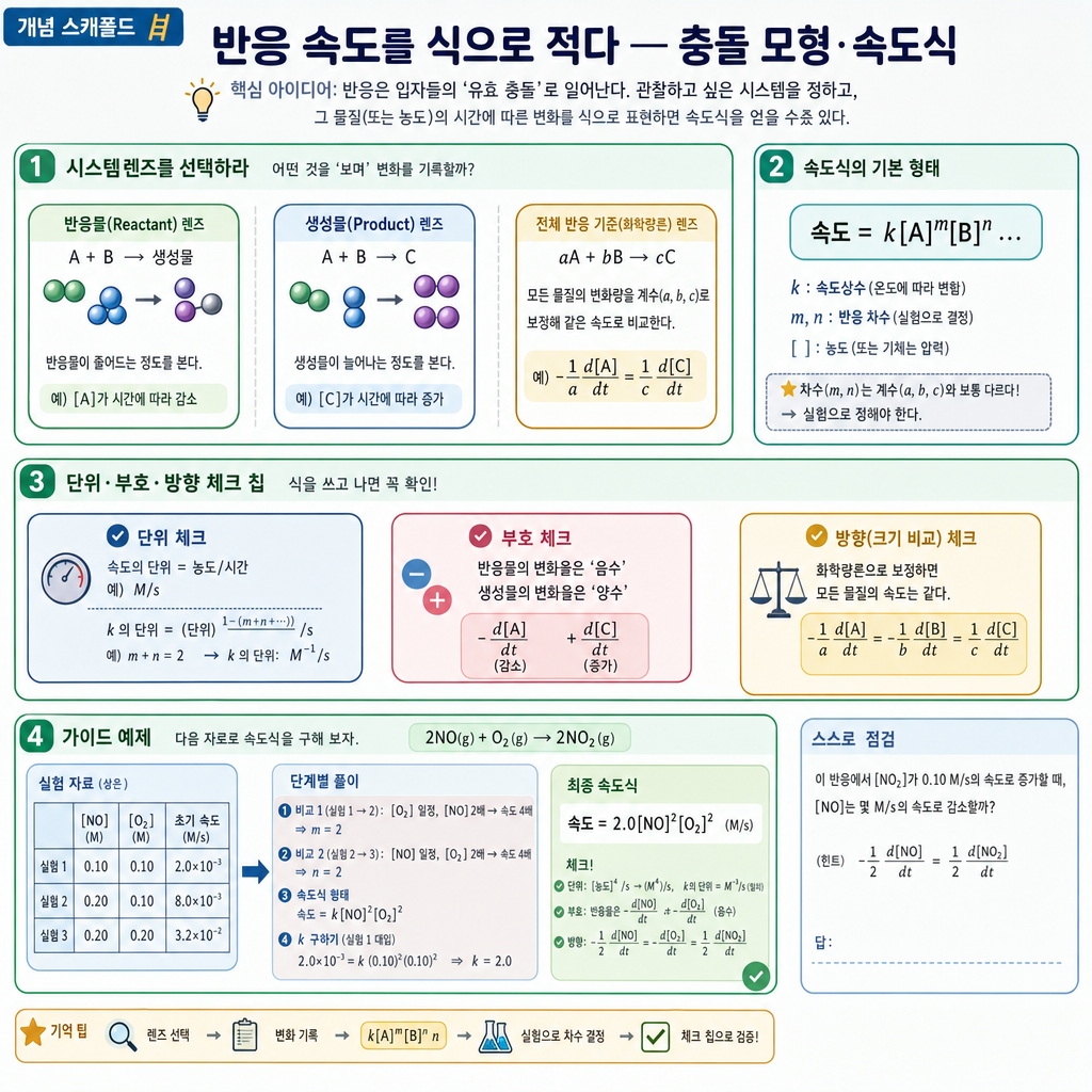 초기 속도법으로 농도 변화 대 속도 변화를 비교해 반응 차수를 읽는 개념도
