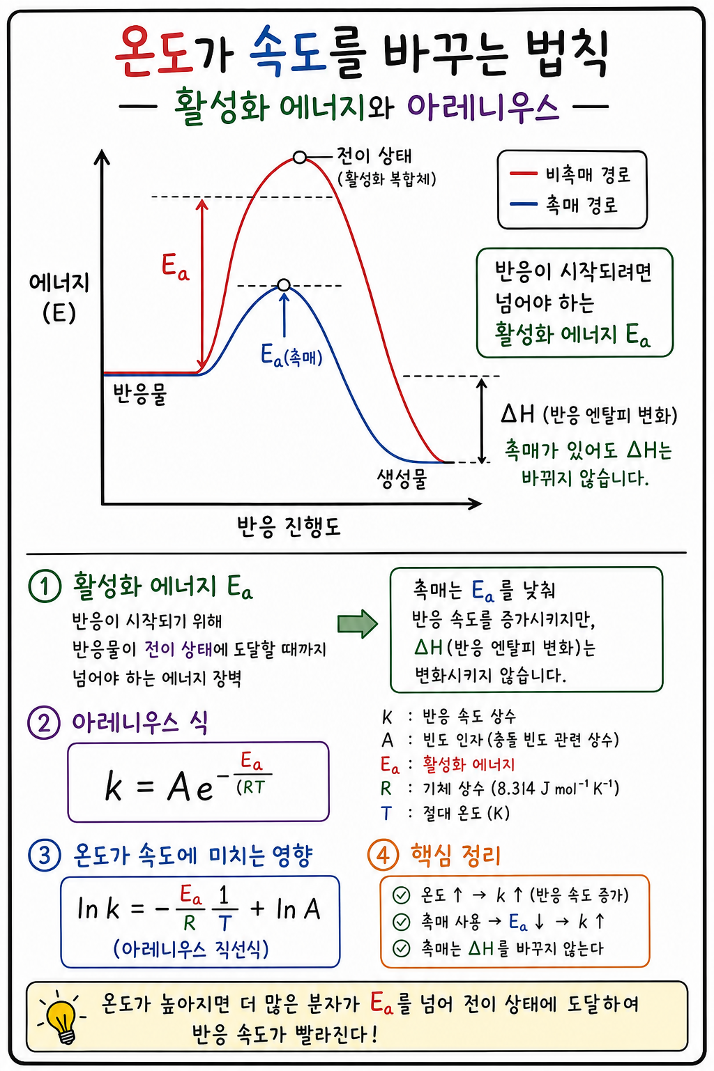 반응물→전이 상태→생성물 에너지 언덕과 촉매가 Ea만 낮추는 모습의 다이어그램