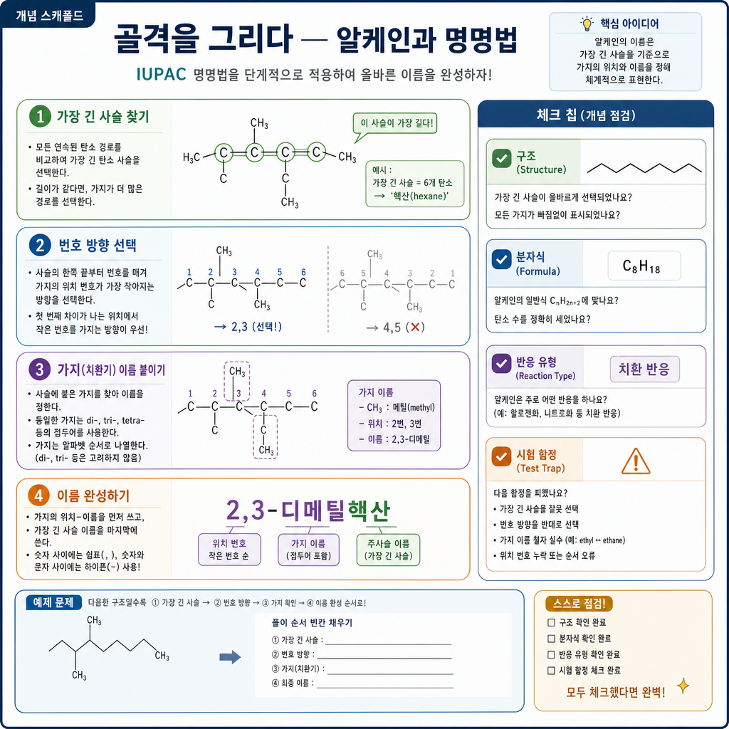 가장 긴 사슬 찾기·번호 방향·가지 이름 붙이기를 단계별로 보여 주는 IUPAC 풀이 개념도