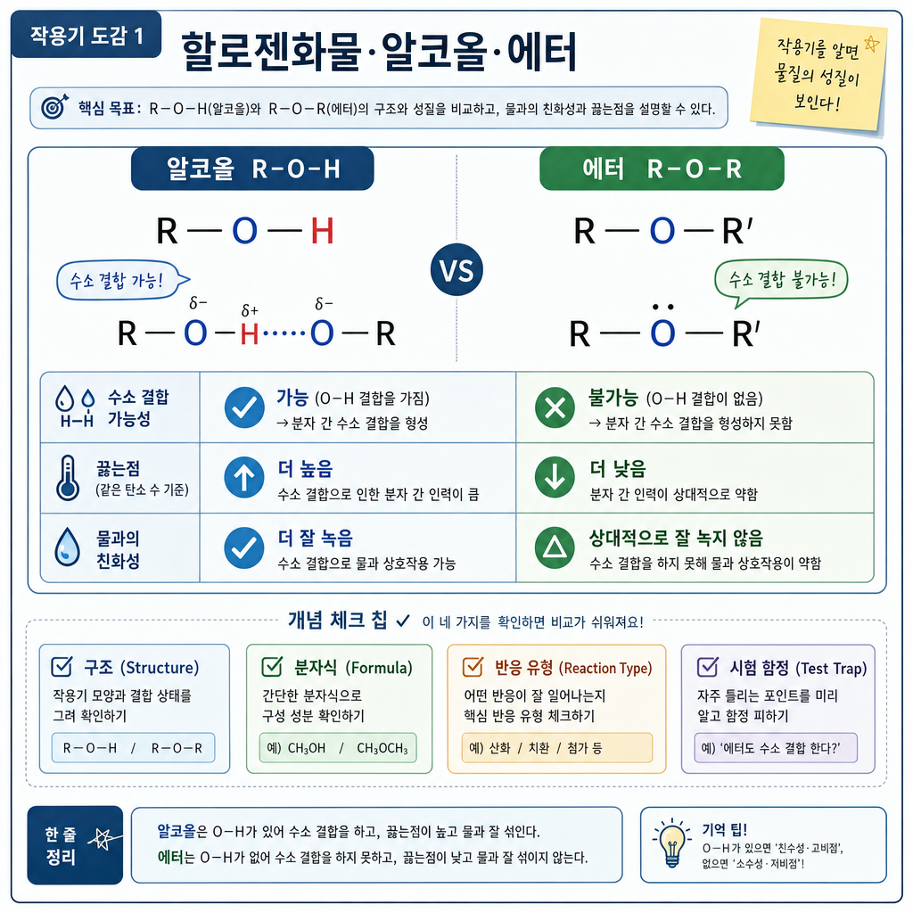 R-O-H와 R-O-R의 수소 결합·끓는점·물과의 친화성을 비교하는 알코올·에터 개념도
