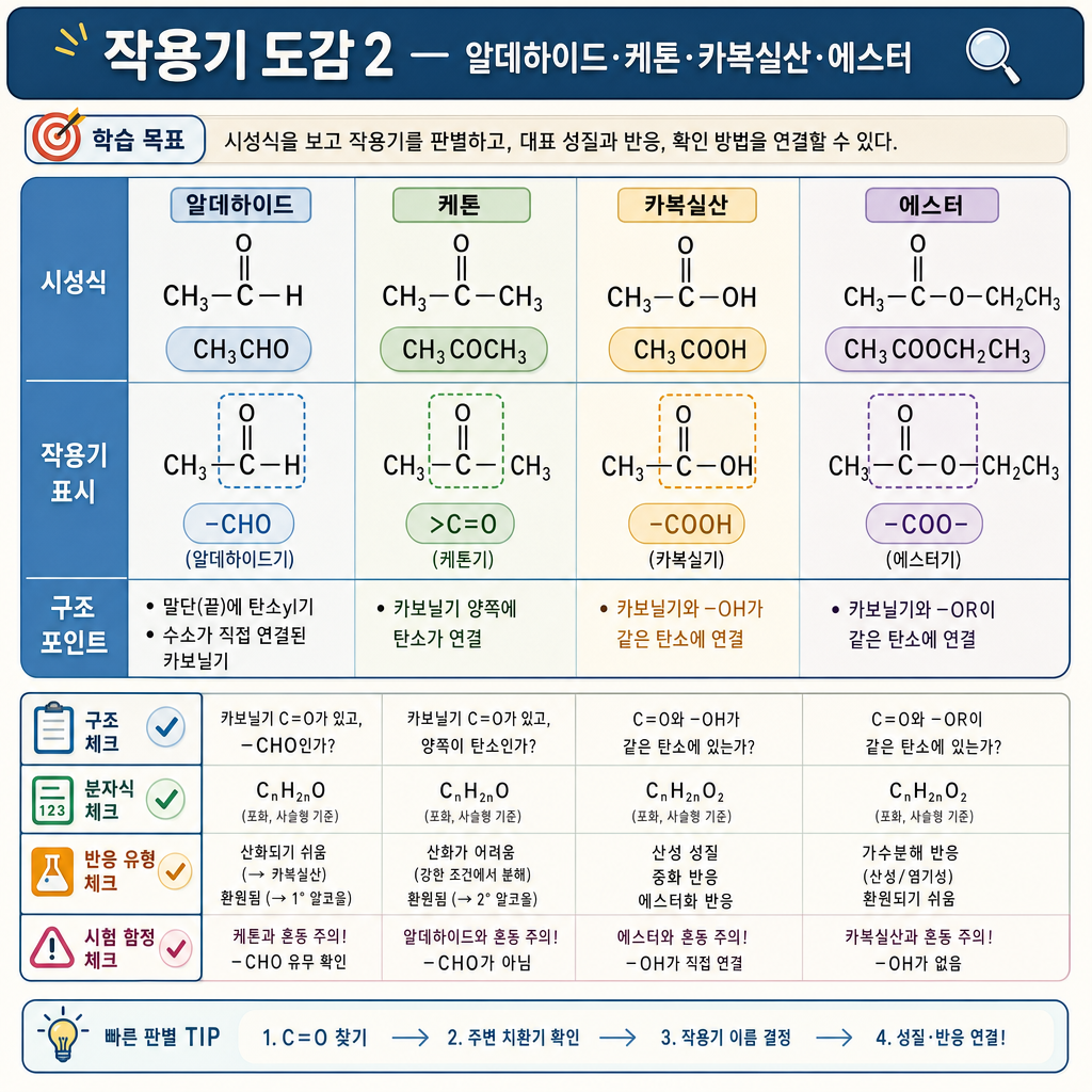 시성식 네 가지에서 카보닐·카복실·에스터 작용기를 찾아 표시하는 판별 개념도