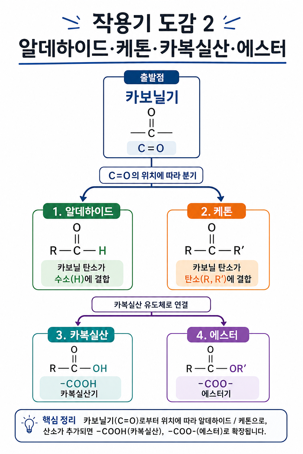 카보닐기 위치로 알데하이드·케톤을 가르고 -COOH·-COO-로 카복실산·에스터를 잇는 다이어그램