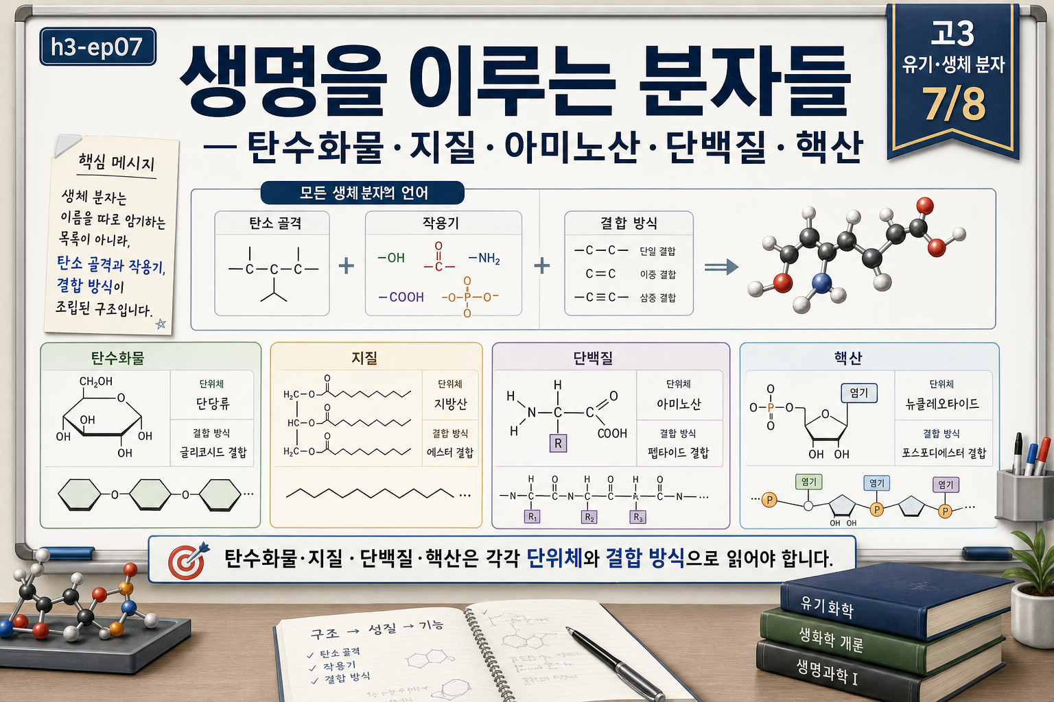 생명을 이루는 분자들 — 탄수화물·지질·아미노산·단백질·핵산 표지