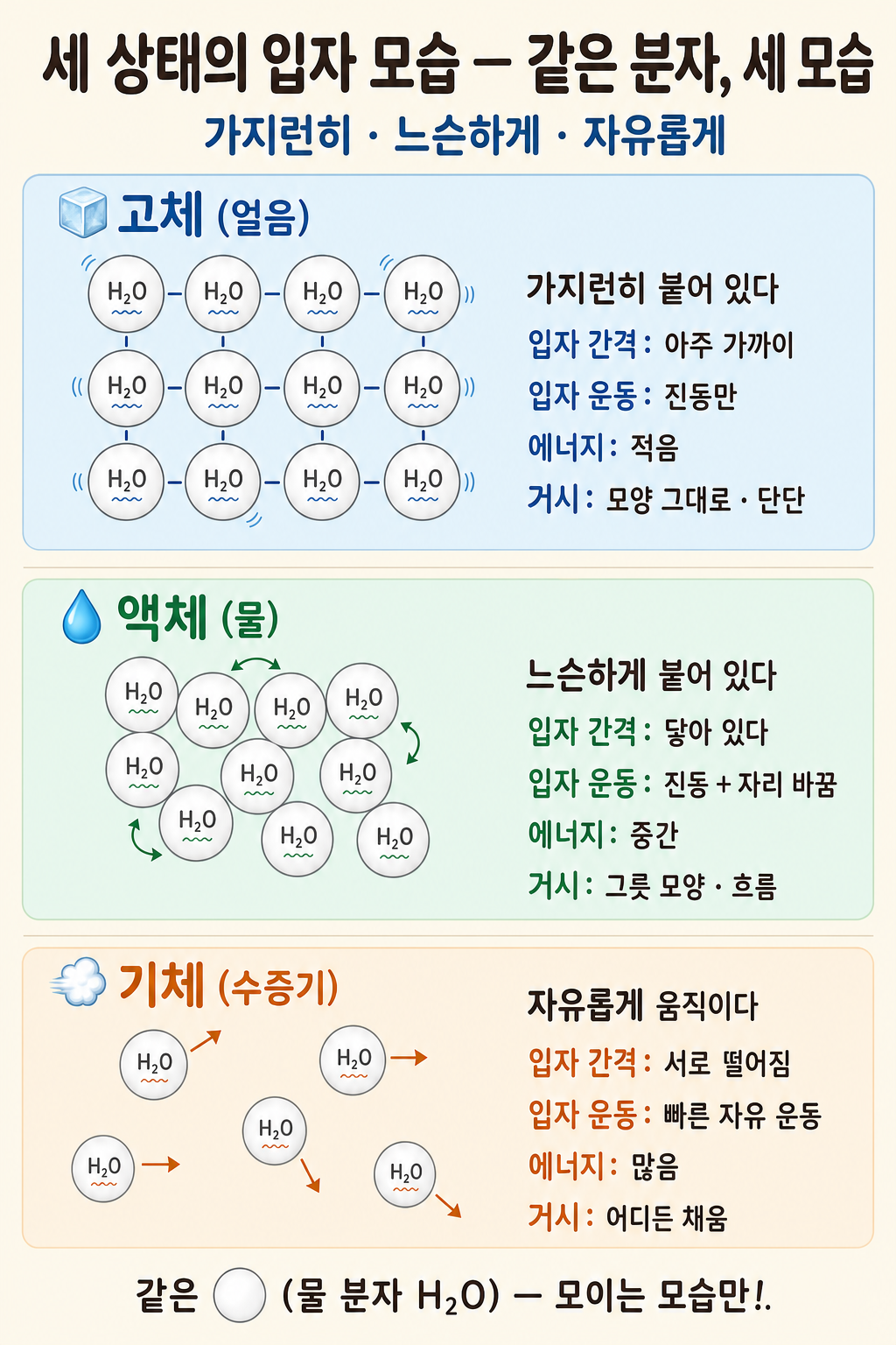 고체·액체·기체 세 줄로 같은 분자의 입자 배열·간격·운동·에너지를 비교한 입자 모형 다이어그램