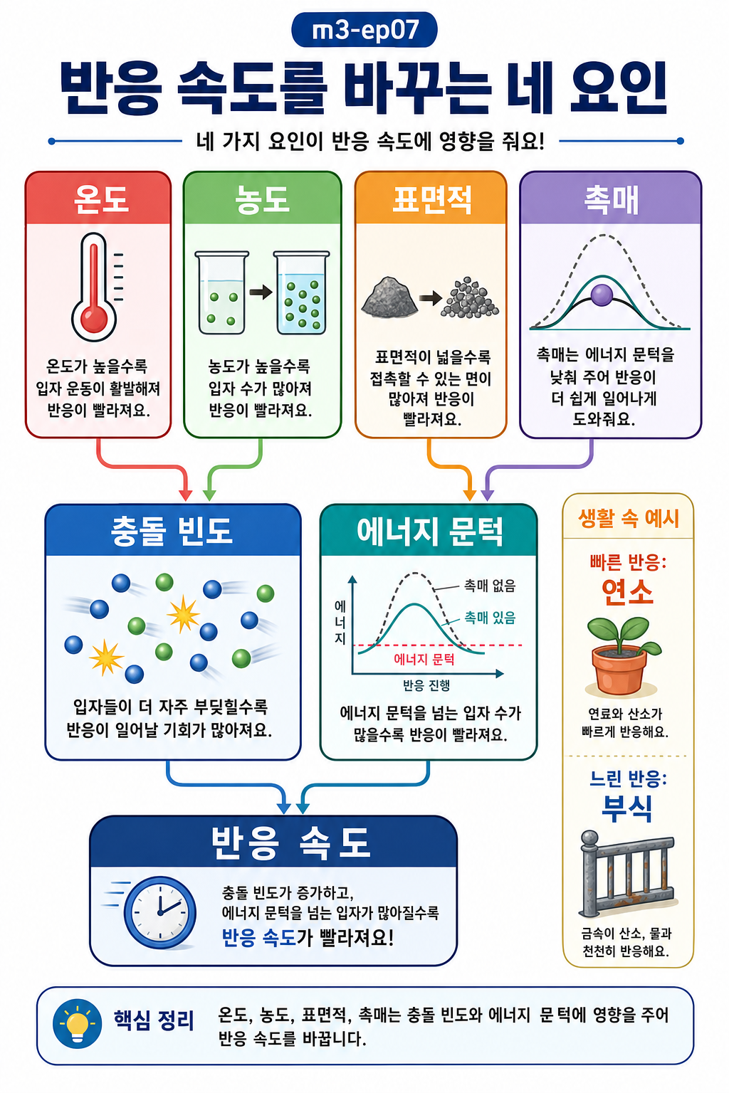 온도·농도·표면적·촉매 네 요인이 충돌 빈도와 에너지 문턱을 거쳐 반응 속도로 모이는 흐름도
