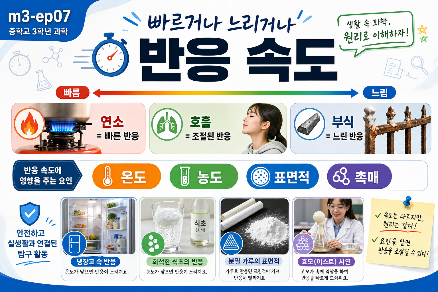 빠르거나 느리거나 — 반응 속도 표지