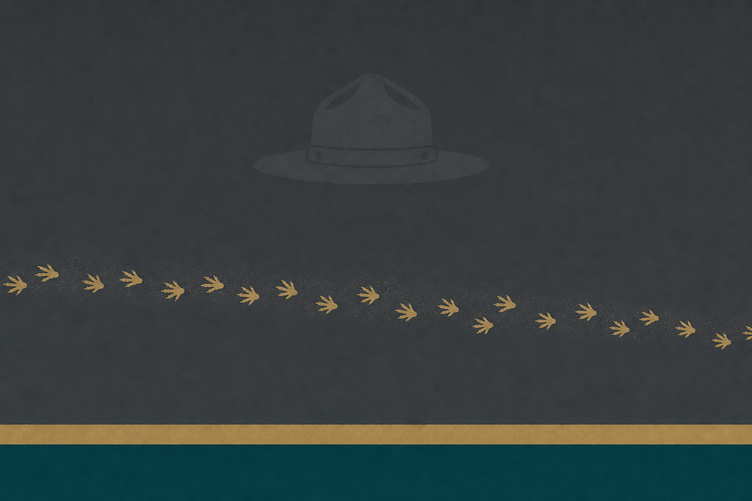 드래곤 발자국·ranger hat 구분선